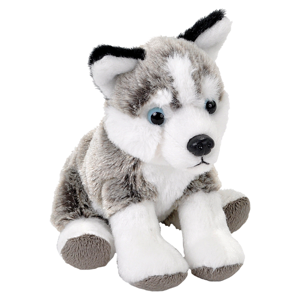 Husky dog outlet stuffed toy