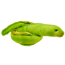Green Moray Stuffed Animal - 54