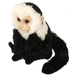 Capuchin Stuffed Animal - 8