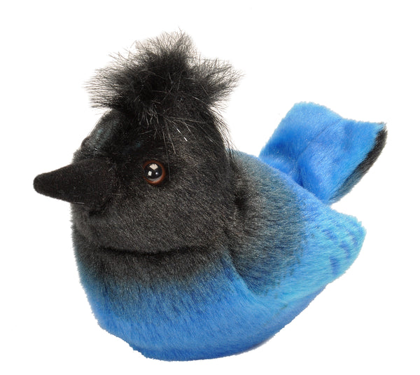 Audubon Plush: Blue Jay 5