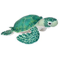Green Sea Turtle Stuffed Animal - 20