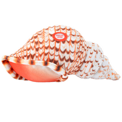 Wild Calls Triton Conch Shell - 8