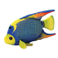 Queen Angelfish Stuffed Animal - 6