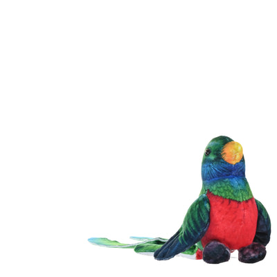 Rainforest Series