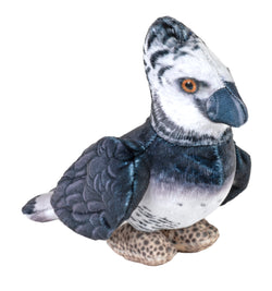 Rainforest Birds Harpy Eagle Stuffed Animal - 4.5