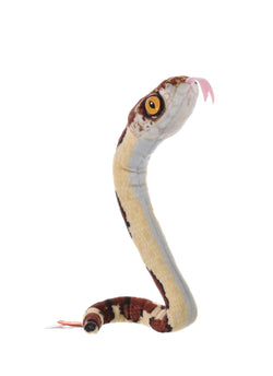 Coilkins Blunt Headed Tree Snake Stuffed Animal - 12