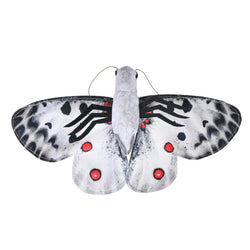 Butterflies Apollo Stuffed Animal - 7