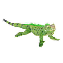 Coilkins Iguana Stuffed Animal - 12