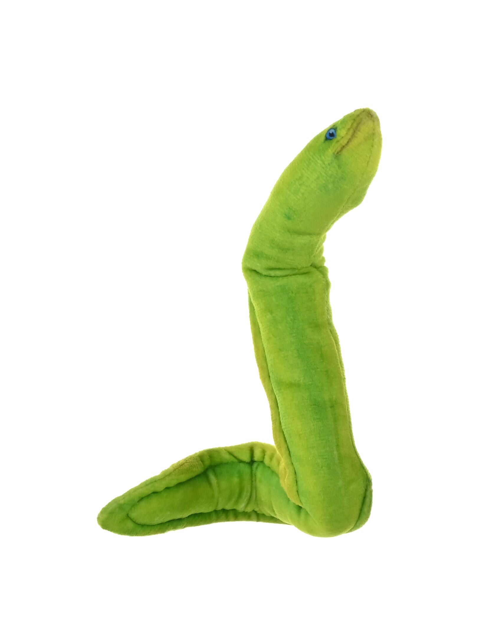 Amazon.com: Wild Republic Living Ocean Peppered Moray EEL