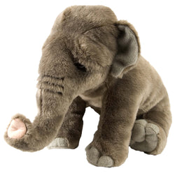 Asian Elephant Stuffed Animal - 12