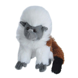 Cottontop Tamarin Stuffed Animal - 8