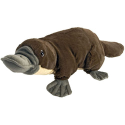 Platypus Stuffed Animal - 12