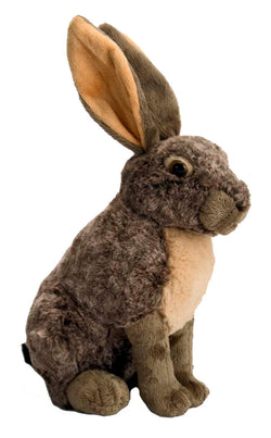 Hare Stuffed Animal - 12