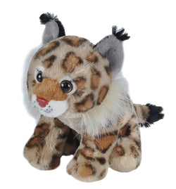 Bobcat Stuffed Animal - 8