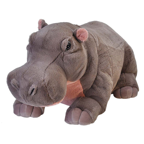 where to buy a stuffed hippopotamus