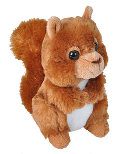 Red Squirrel Stuffed Animal - 7