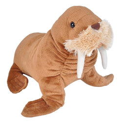 Walrus Stuffed Animal - 8