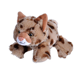 Bobcat Stuffed Animal - 7