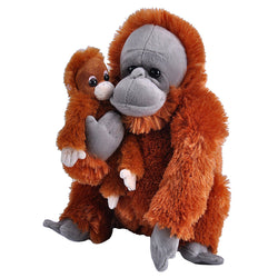 Orangutan - Mom & Baby 12