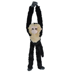 Hanging Capuchin - 20