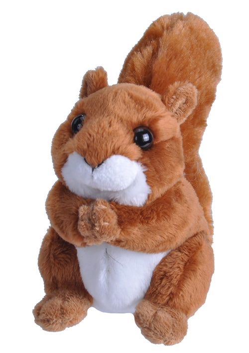 Squirrel stuffed sale animal