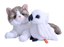 Friends - Cockatoo & Cat