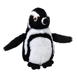 Penguin Black Foot Ecokins Mini
