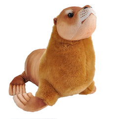 Sea Lion Male Stuffed Animal