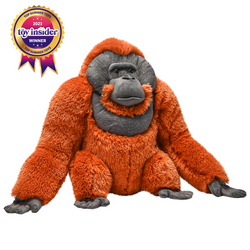 Artist Collection - Male Orangutan