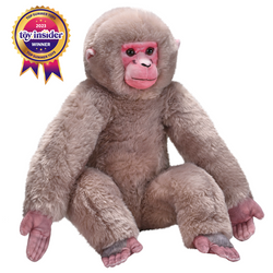 Artist Collection - Japanese Macaque