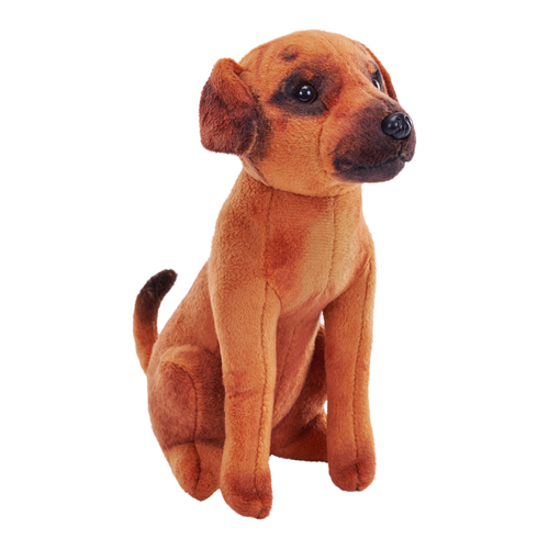 Stuffed rhodesian on sale ridgeback