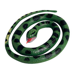 Anaconda Rubber Snake - 26
