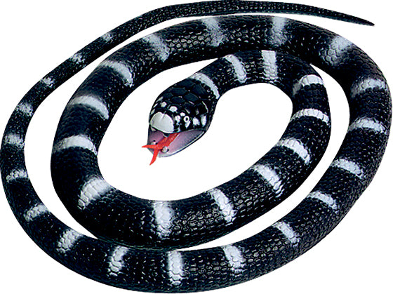 Rubber Snakes - Wild Republic Rubber Snakes - Wild Republic
